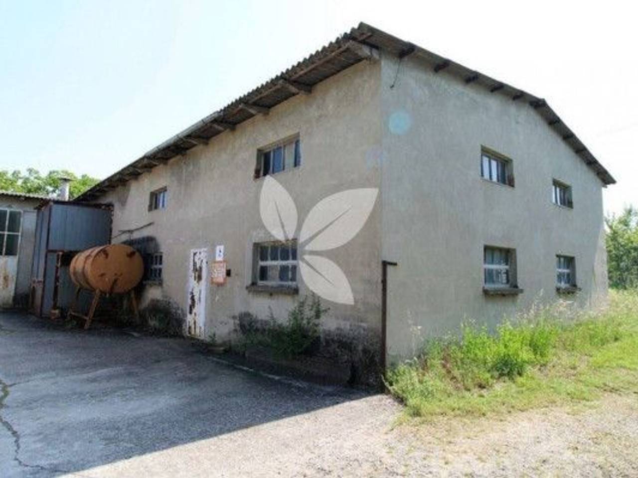 immagine annuncio 3 di 6