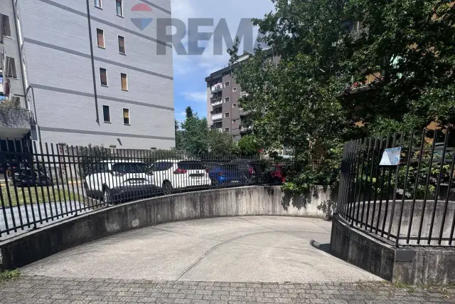 insertion image