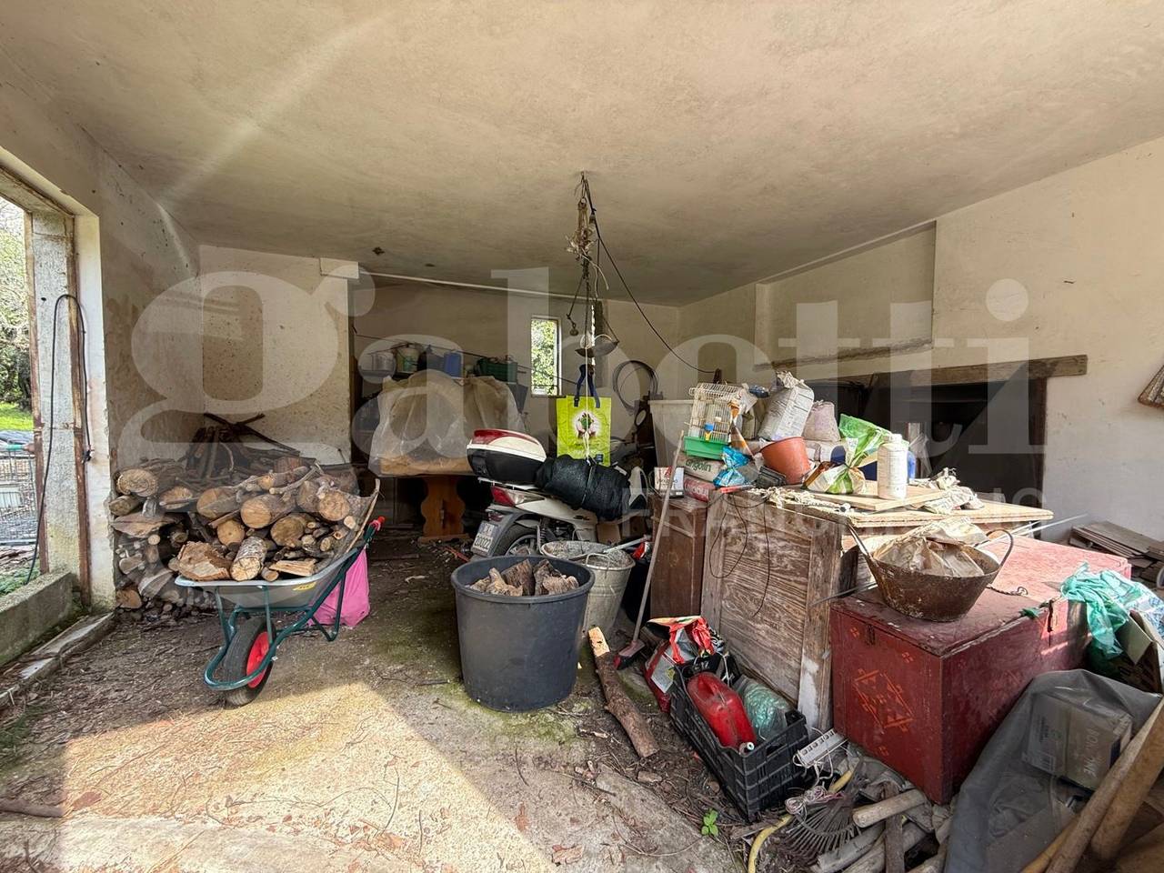 immagine annuncio 4 di 14