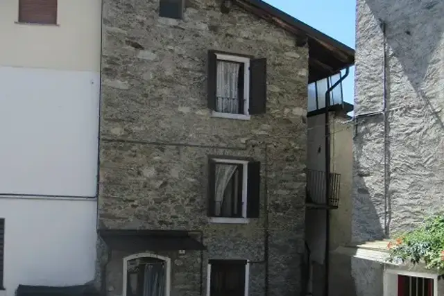 insertion image