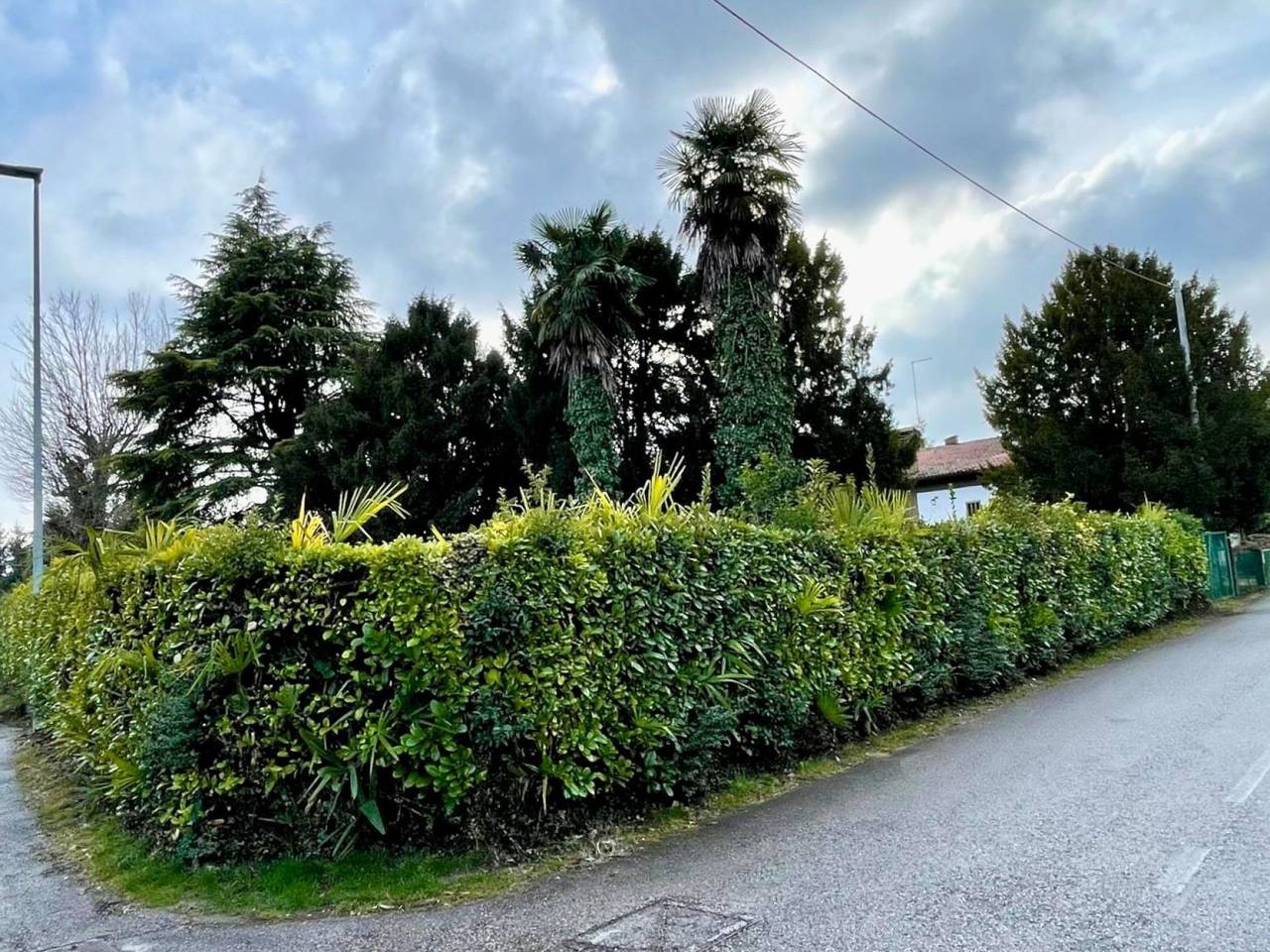 immagine annuncio 4 di 6