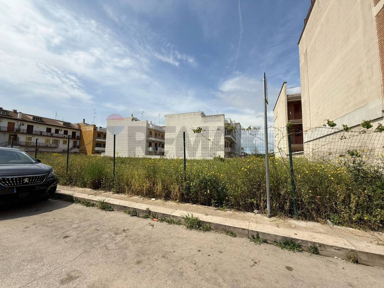 immagine annuncio 2 di 3