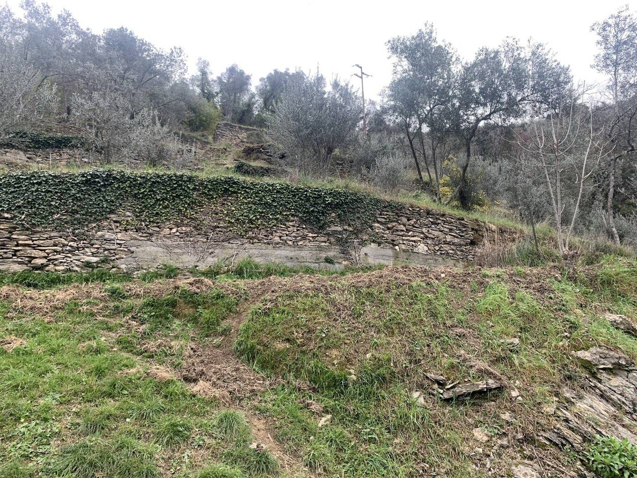immagine annuncio 1 di 6
