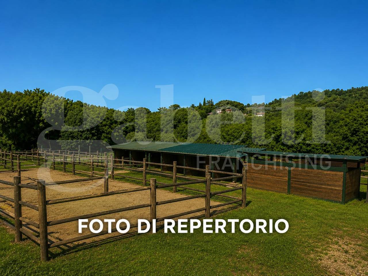 immagine annuncio 4 di 10