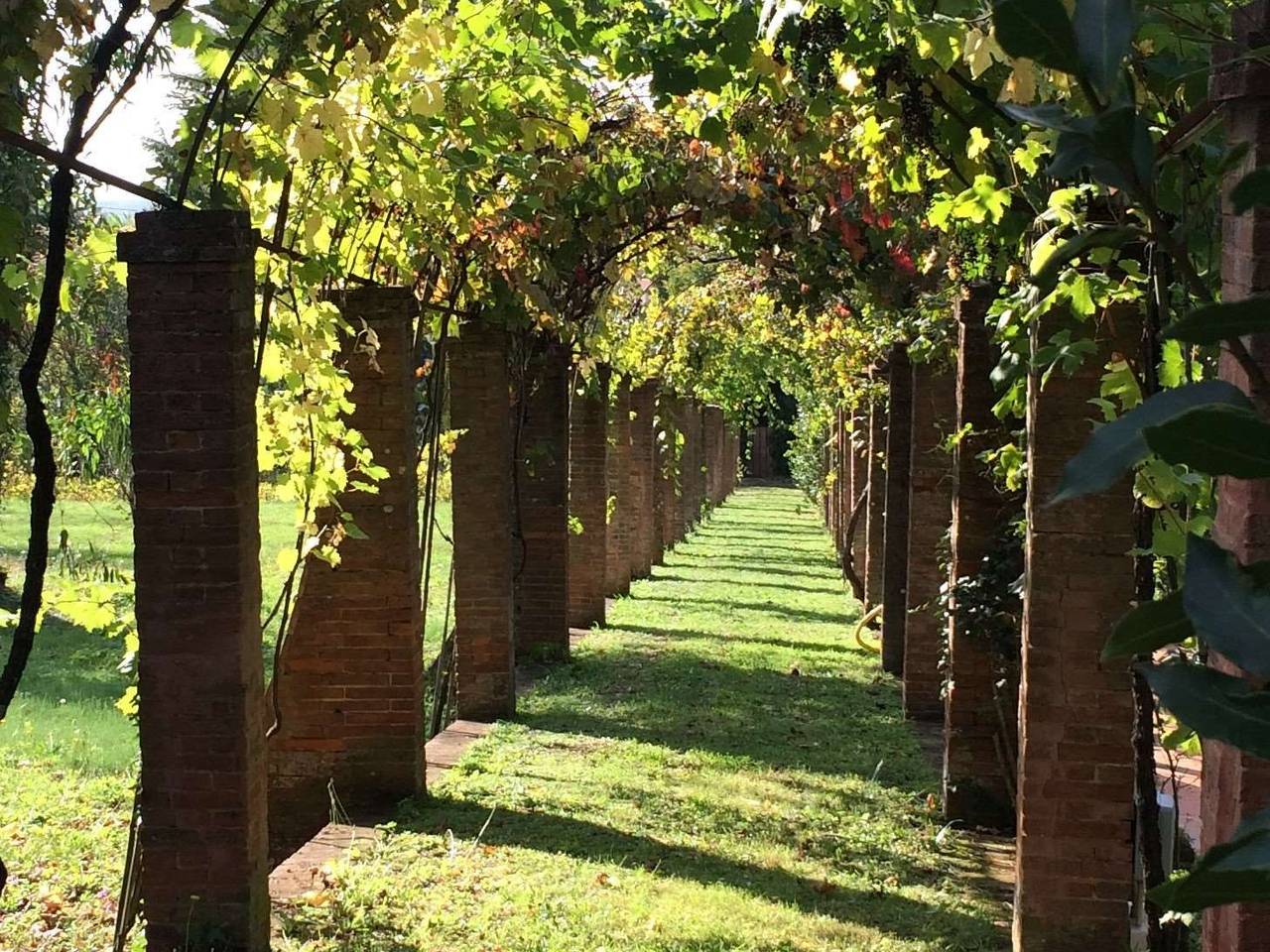 immagine annuncio 2 di 7