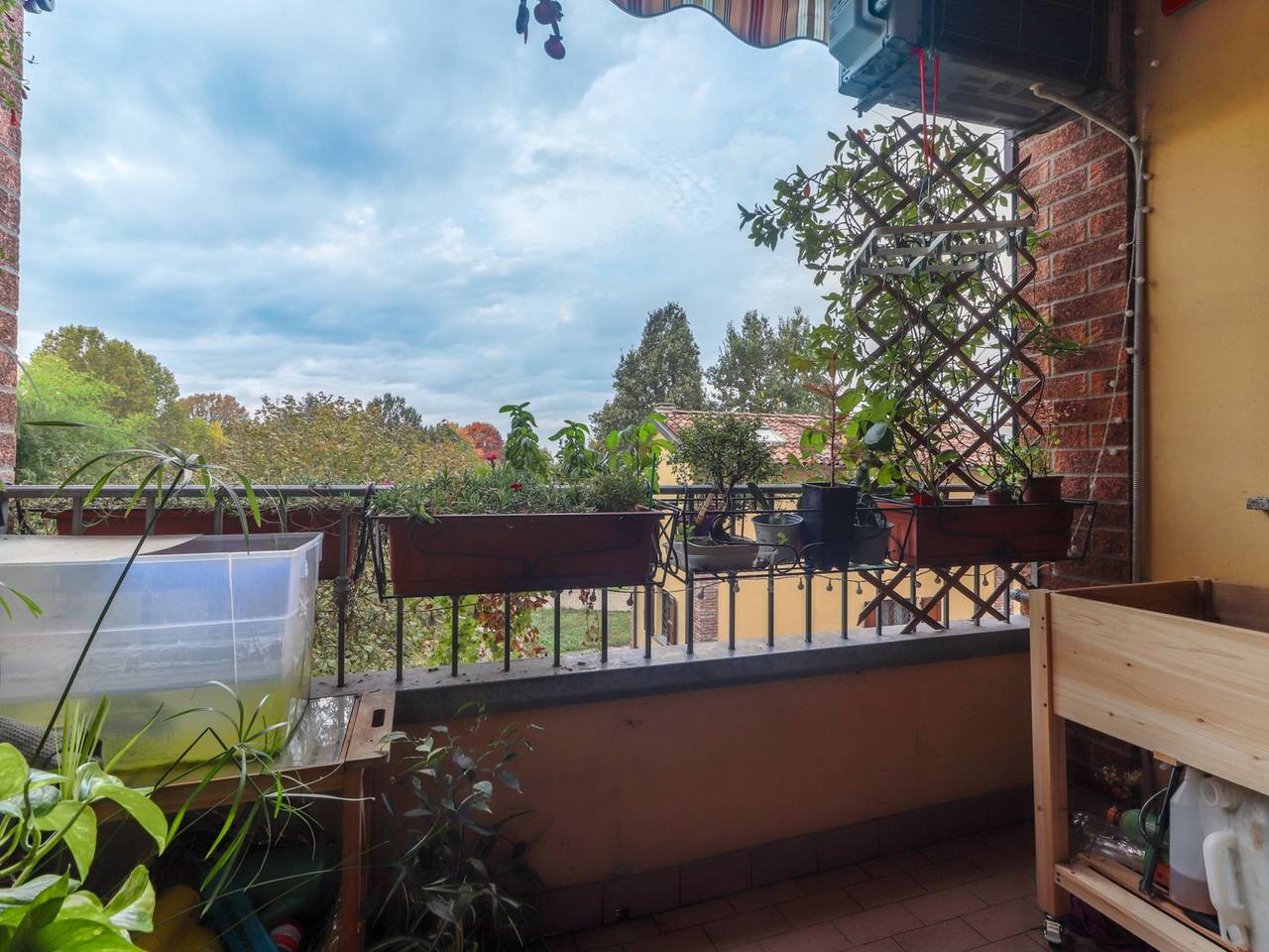 immagine annuncio 12 di 15