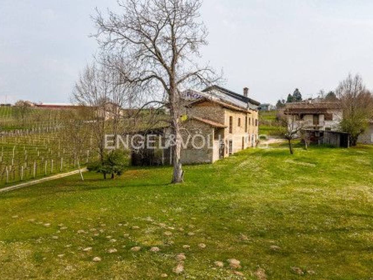 immagine annuncio 2 di 9