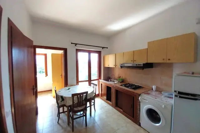 3-room flat in Via degli Ulivi, Santa Maria del Cedro - Photo 1