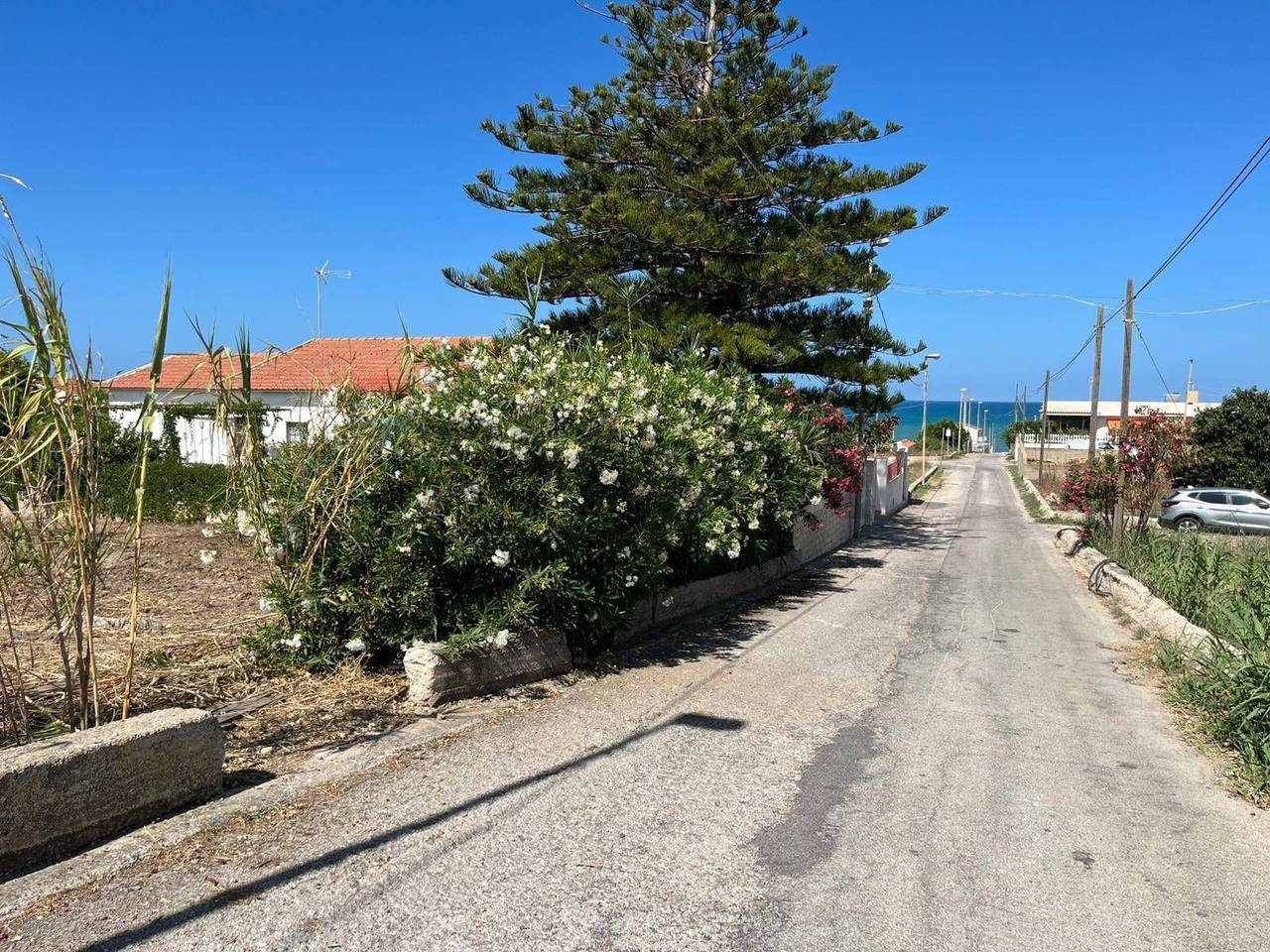 immagine annuncio 11 di 14