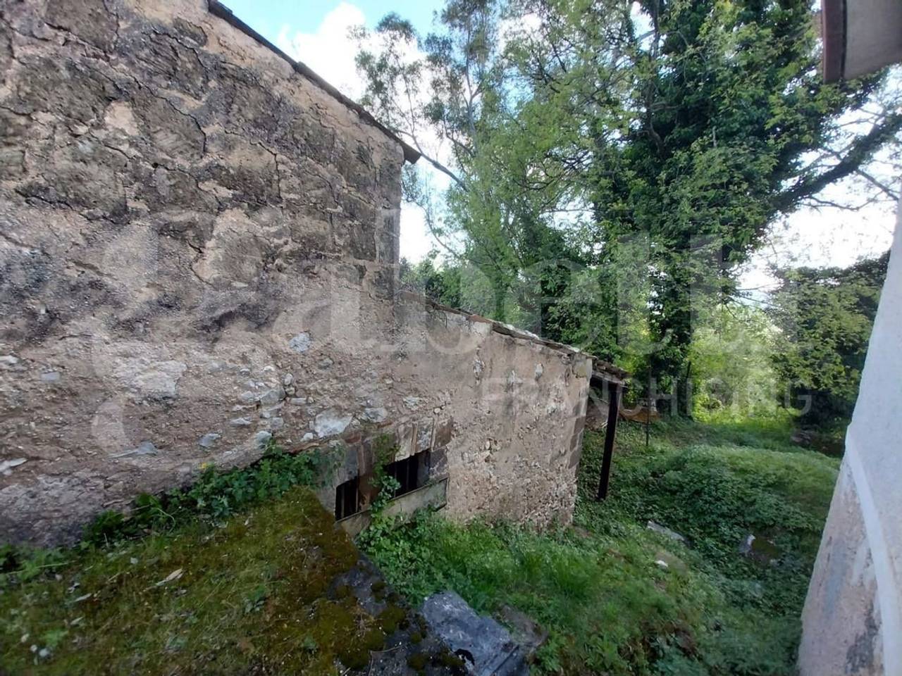 immagine annuncio 3 di 14