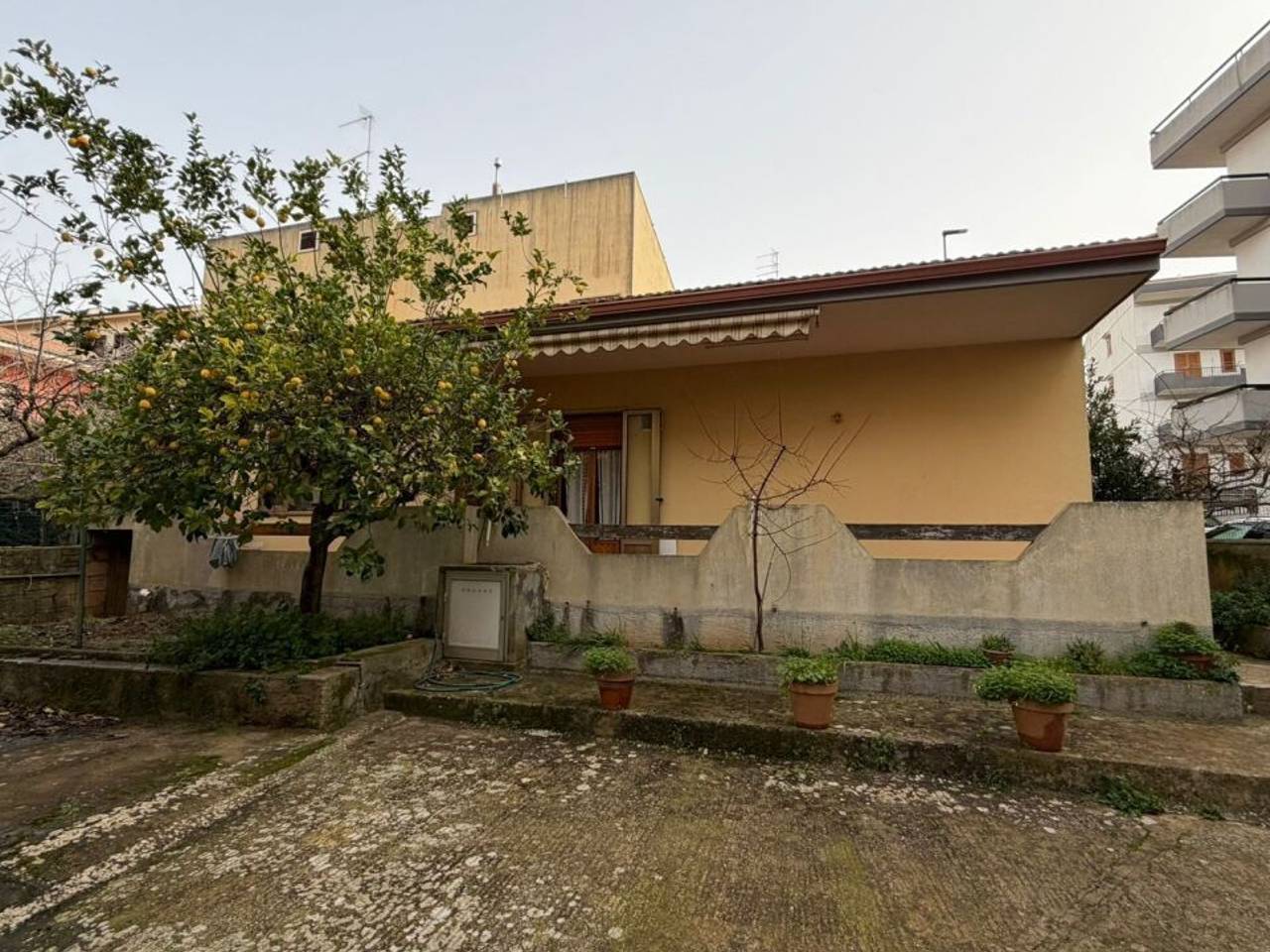 immagine annuncio 2 di 15