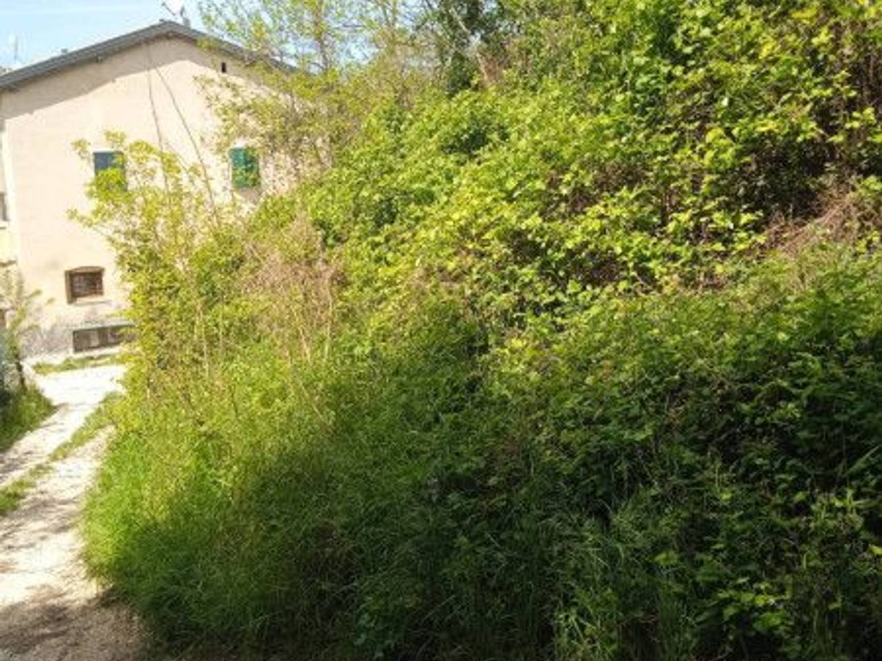 immagine annuncio 3 di 4