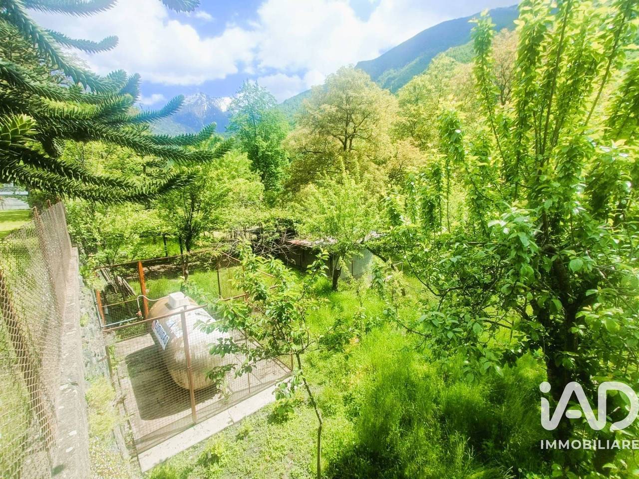 immagine annuncio 7 di 15