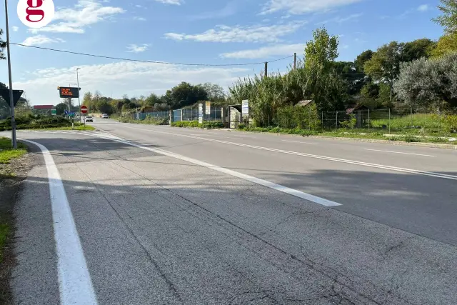 insertion image