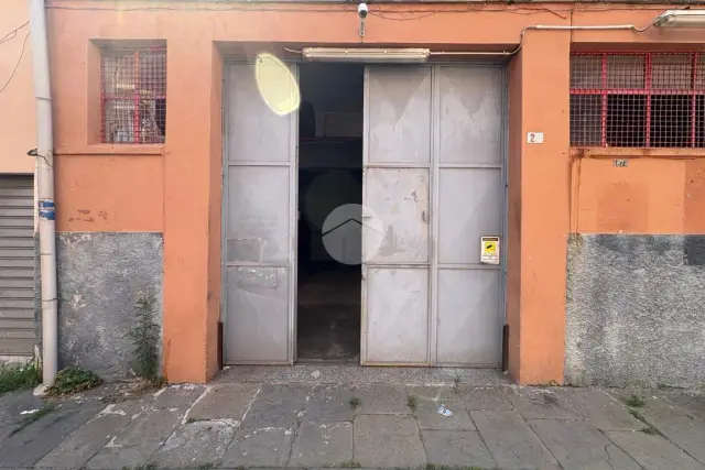 insertion image