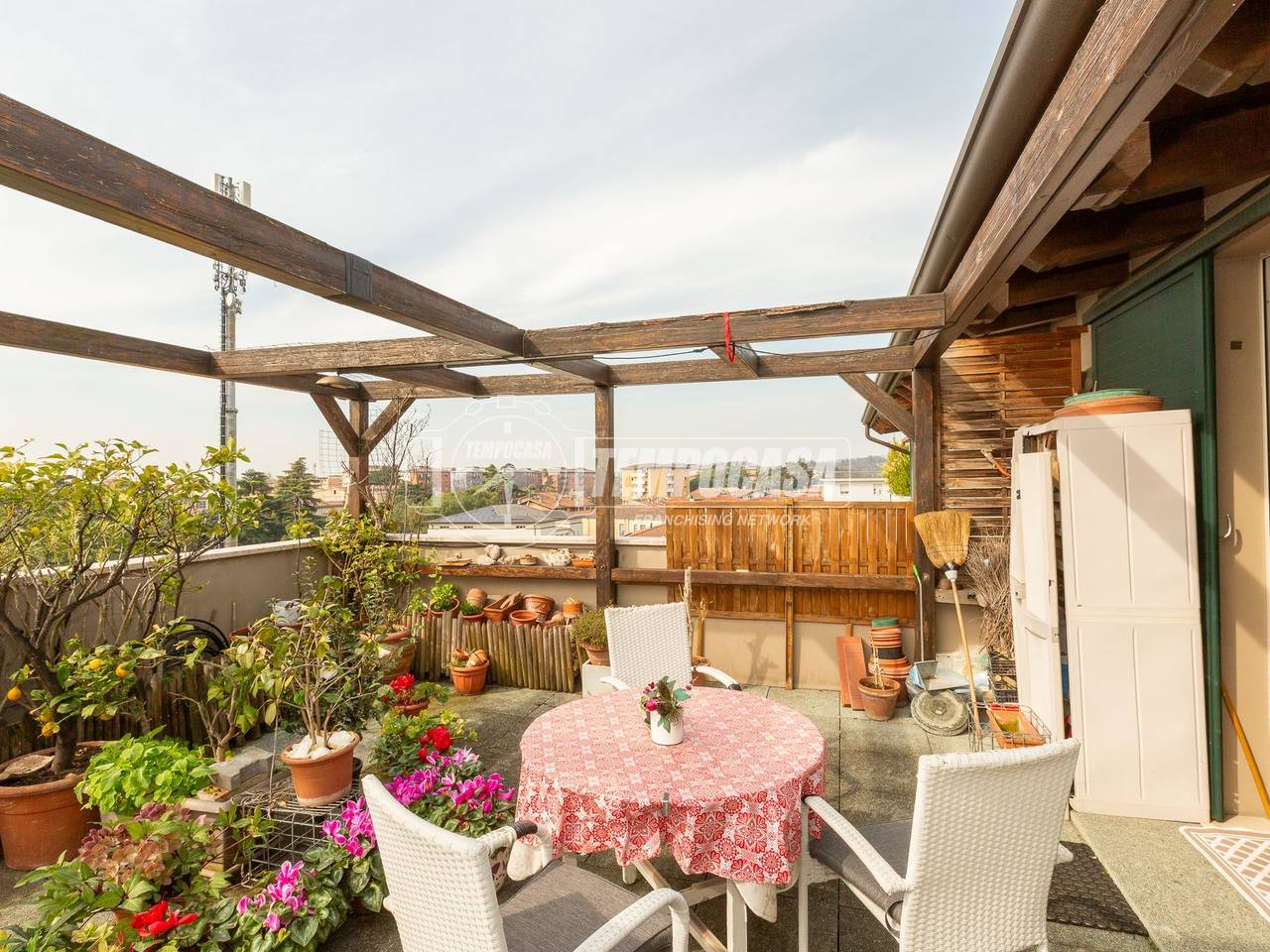 immagine annuncio 7 di 15