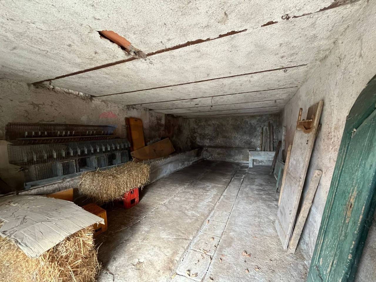 immagine annuncio 1 di 14