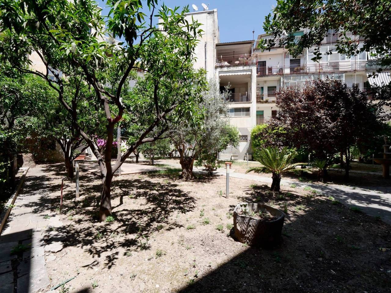 immagine annuncio 6 di 7