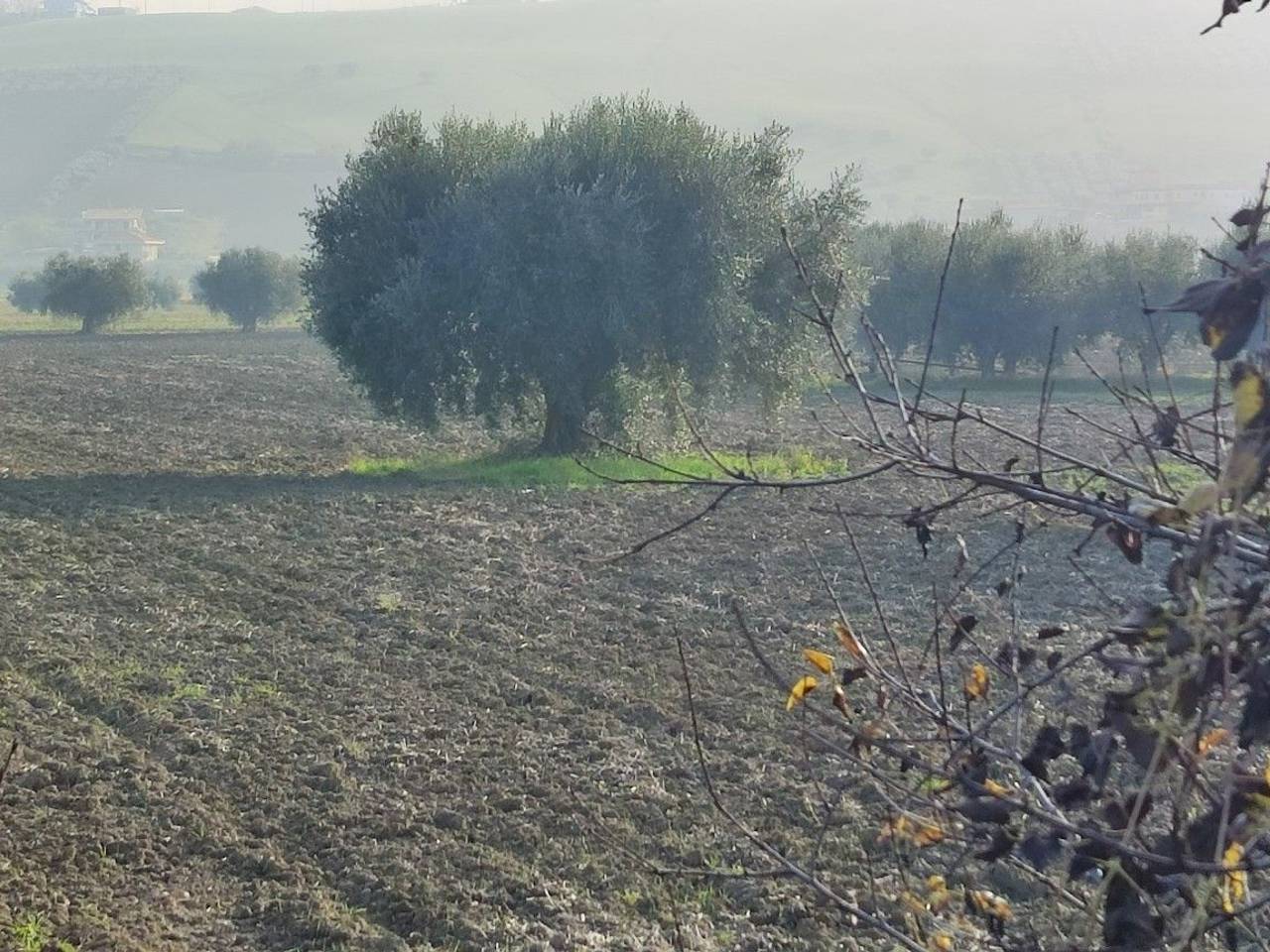 immagine annuncio 11 di 14