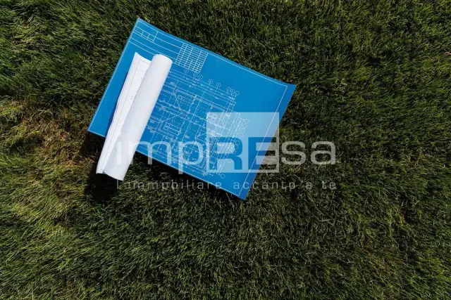 insertion image