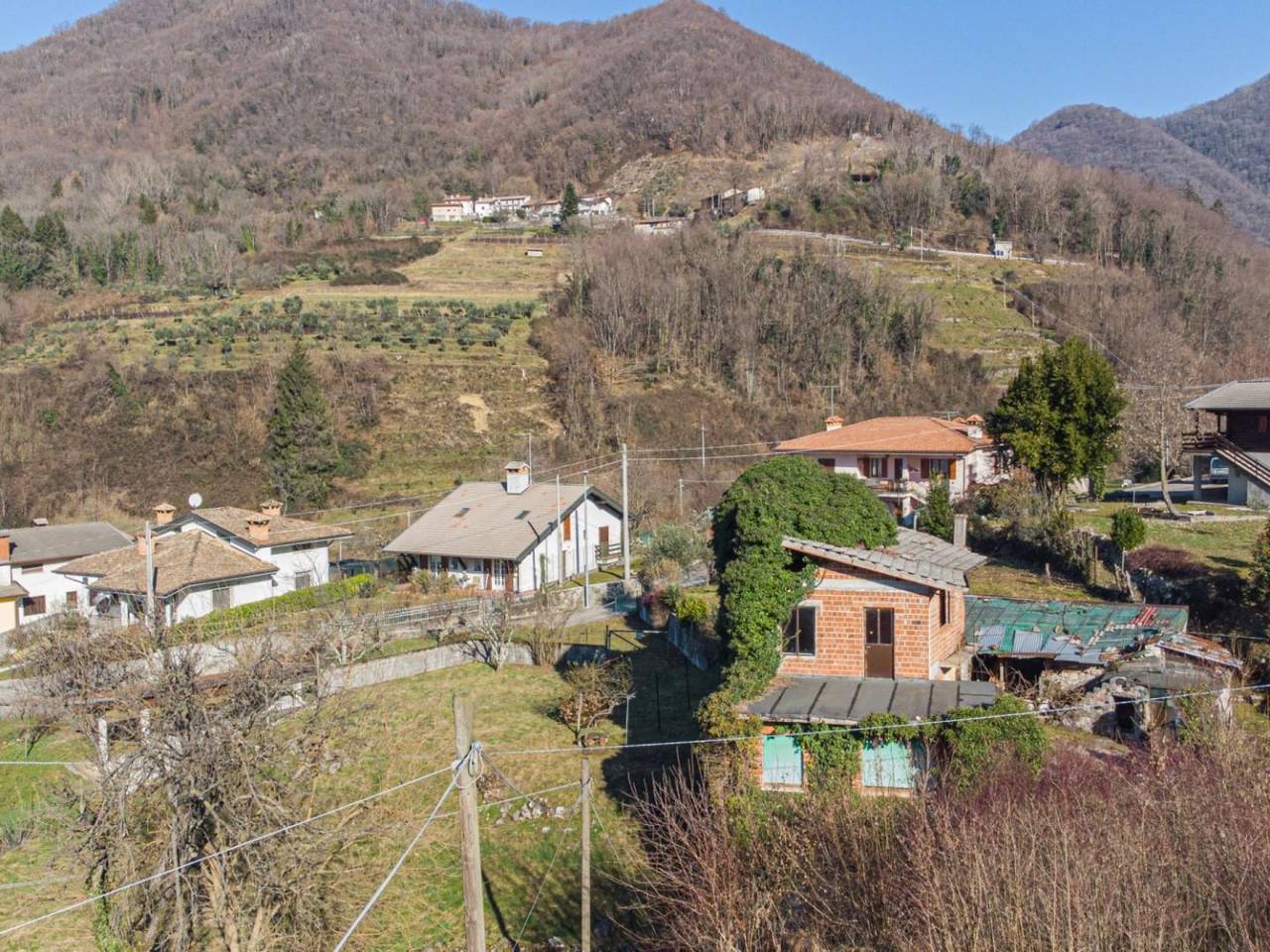 immagine annuncio 5 di 6