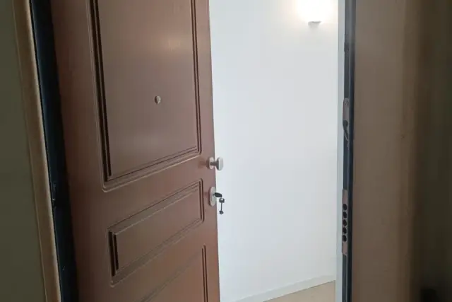 insertion image