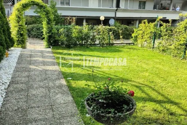 insertion image
