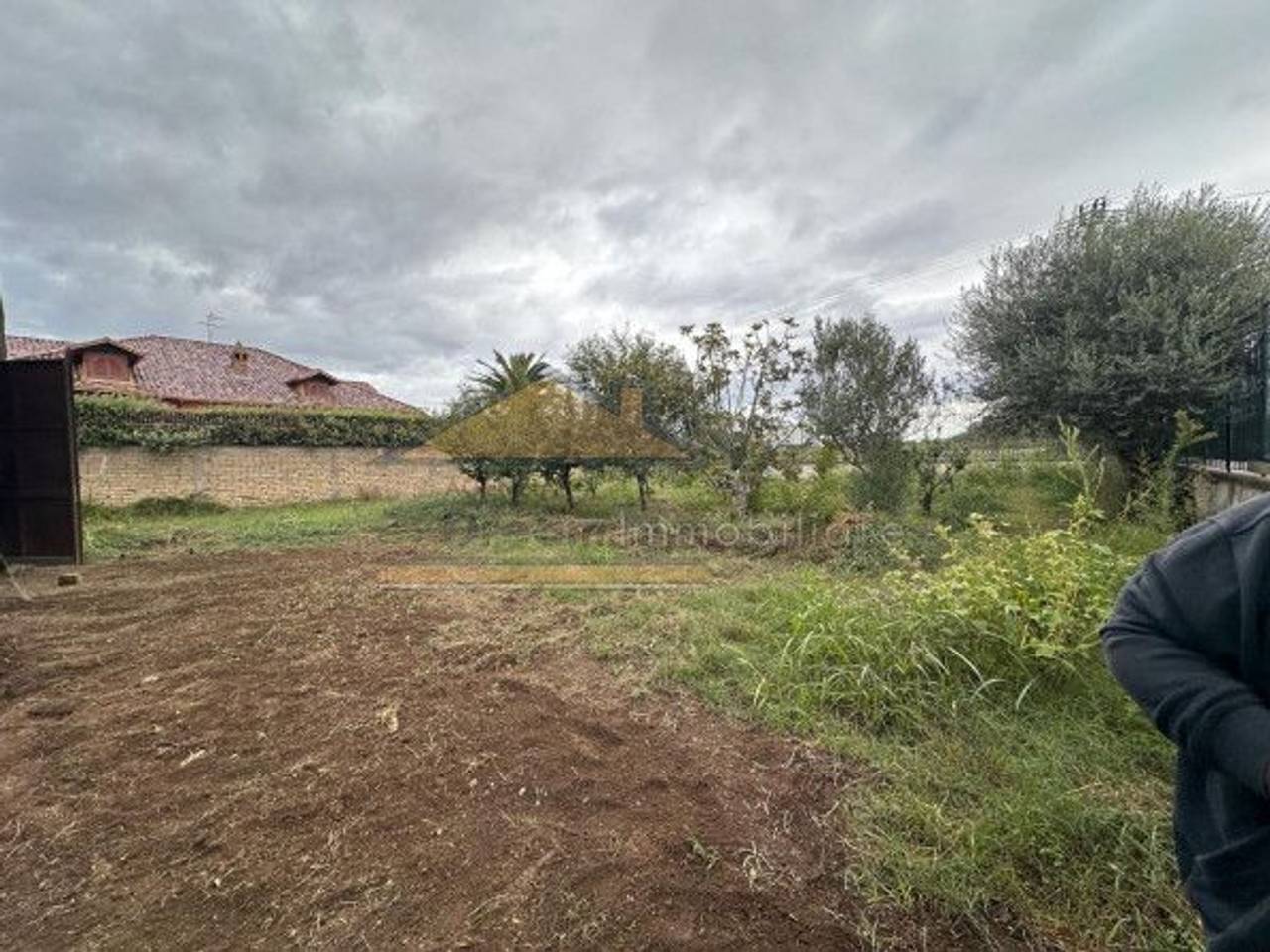 immagine annuncio 4 di 12