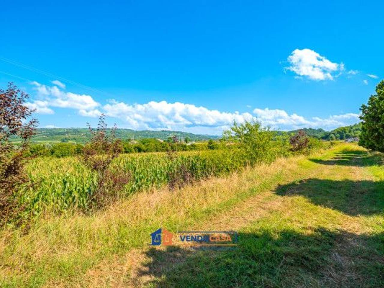 immagine annuncio 4 di 14