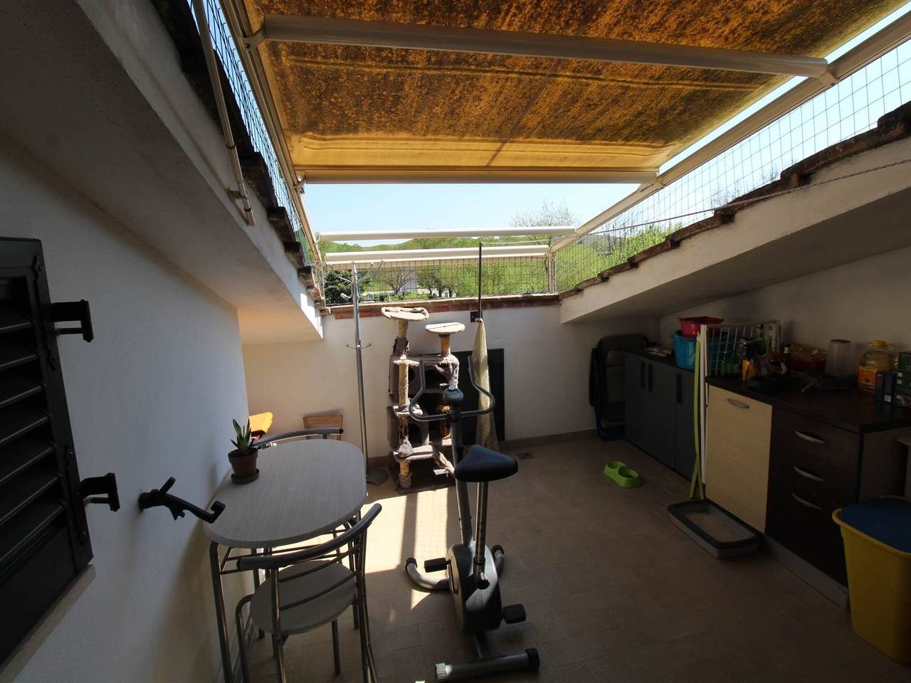 immagine annuncio 5 di 14