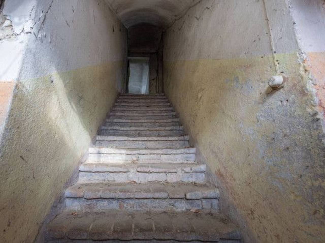 immagine annuncio 4 di 14