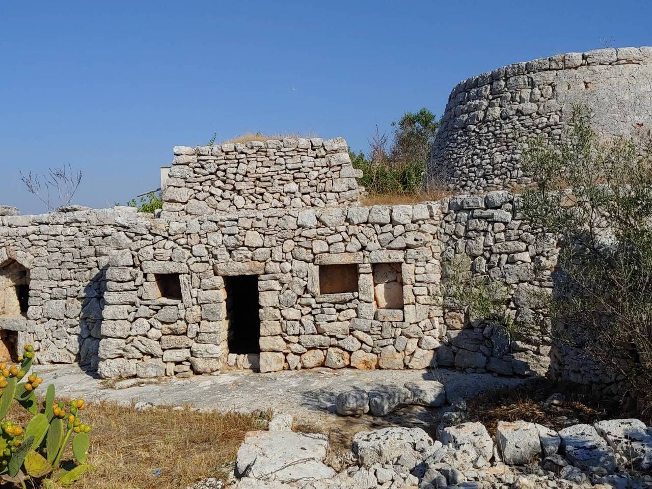 immagine annuncio 13 di 15