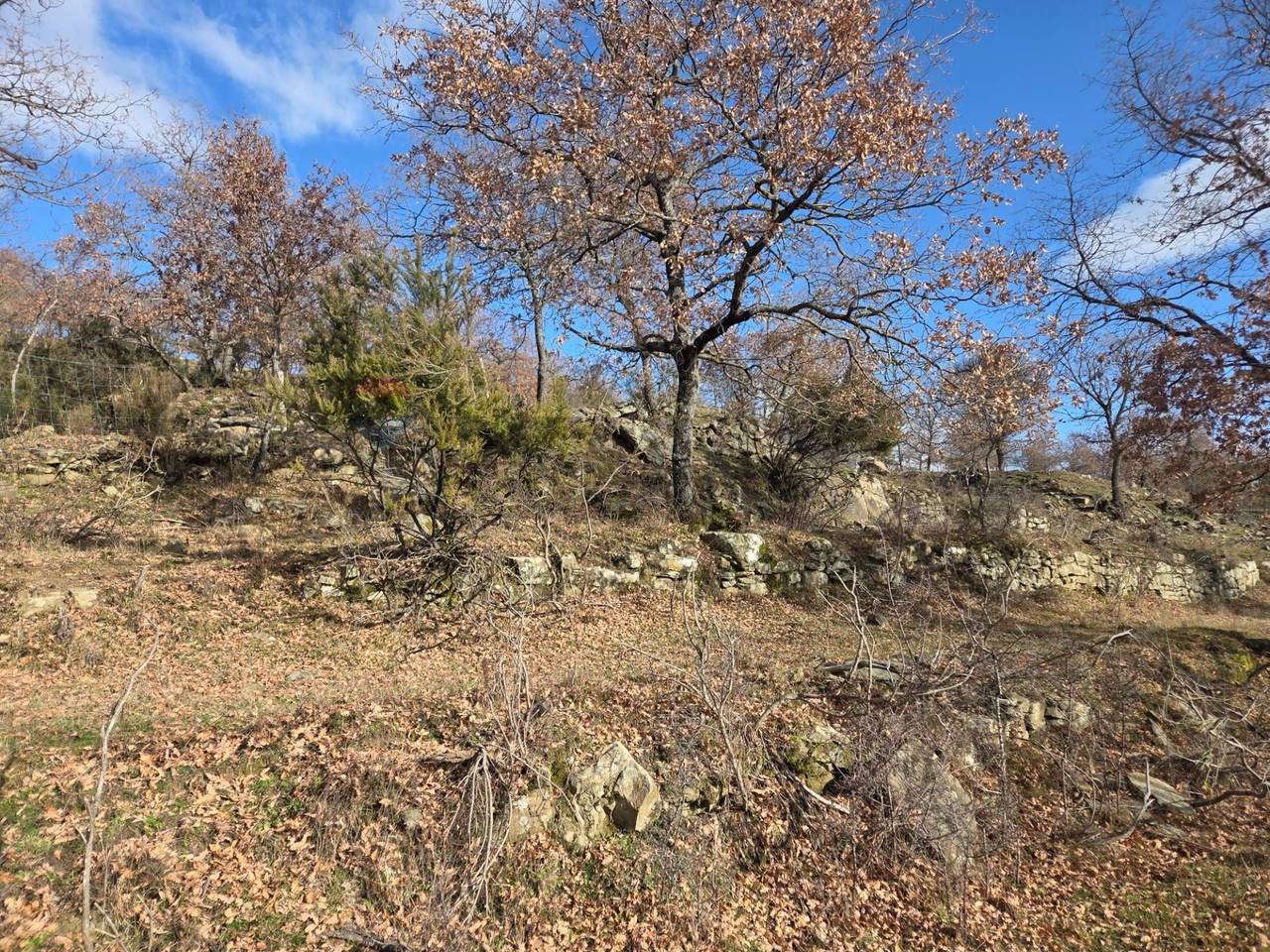immagine annuncio 3 di 13