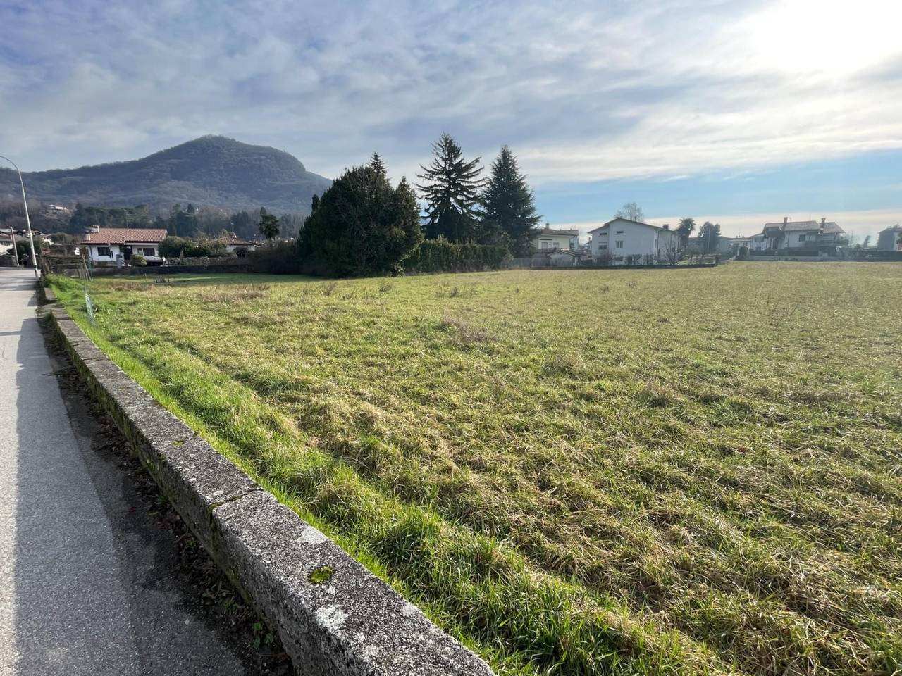 immagine annuncio 2 di 4