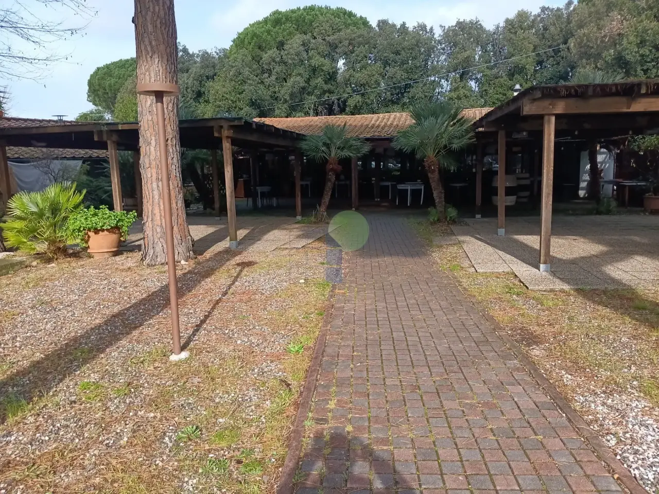 Ristorante in Via Aurelia Nord, Cecina, {3} - Foto 1