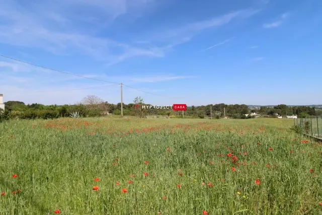 Terreno agricolo, Martina Franca - Foto 1