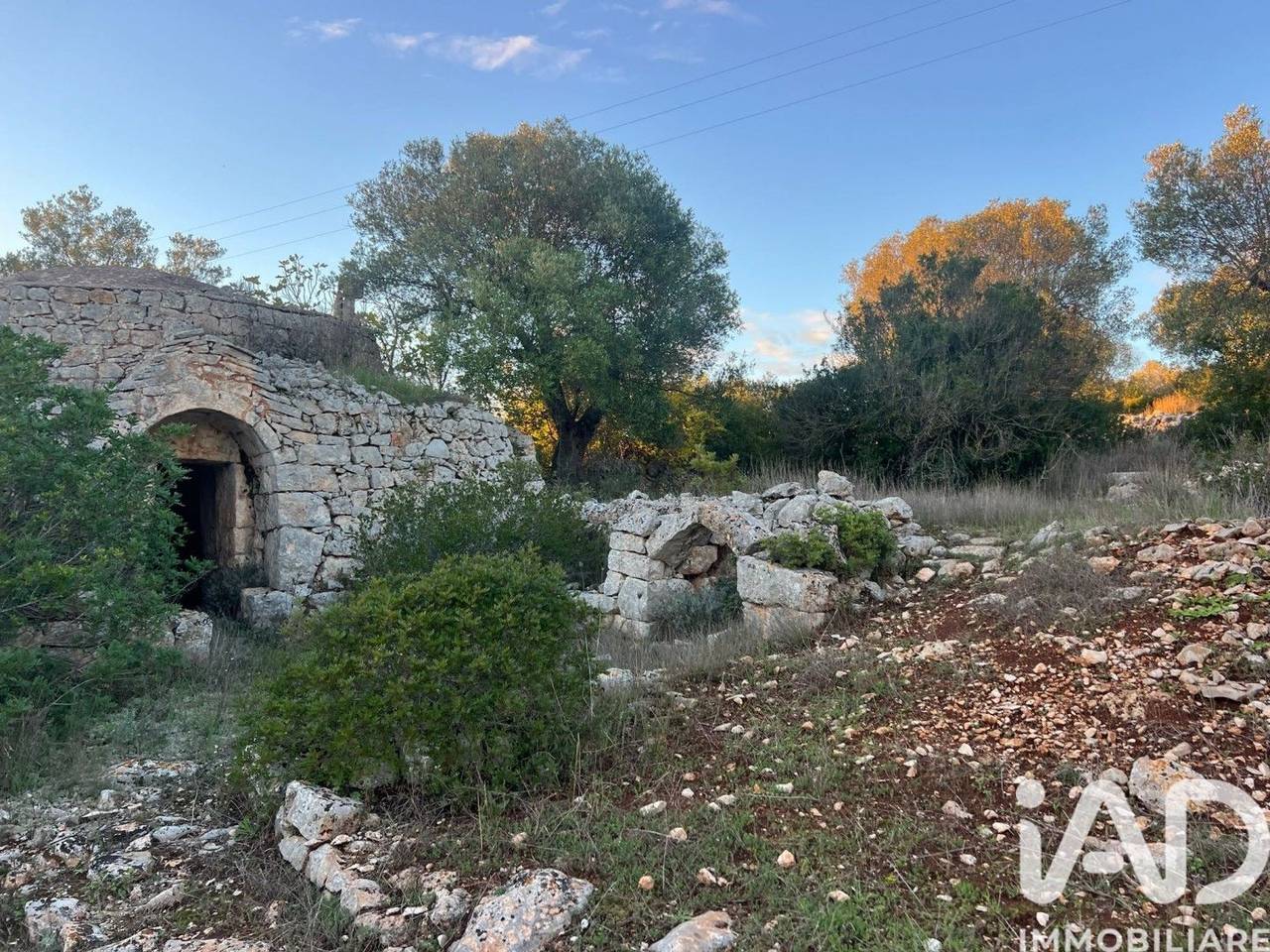 immagine annuncio 1 di 11