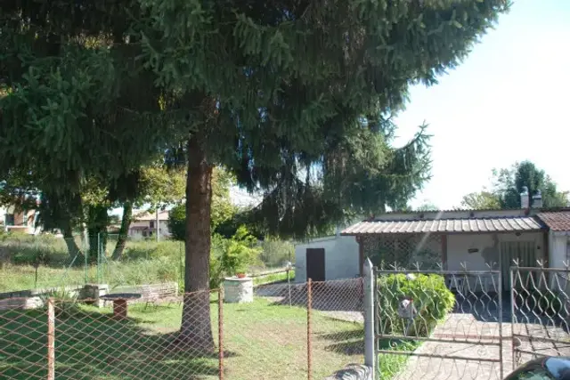 insertion image