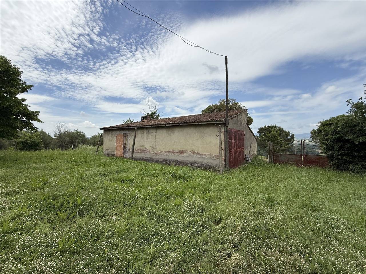 immagine annuncio 12 di 13