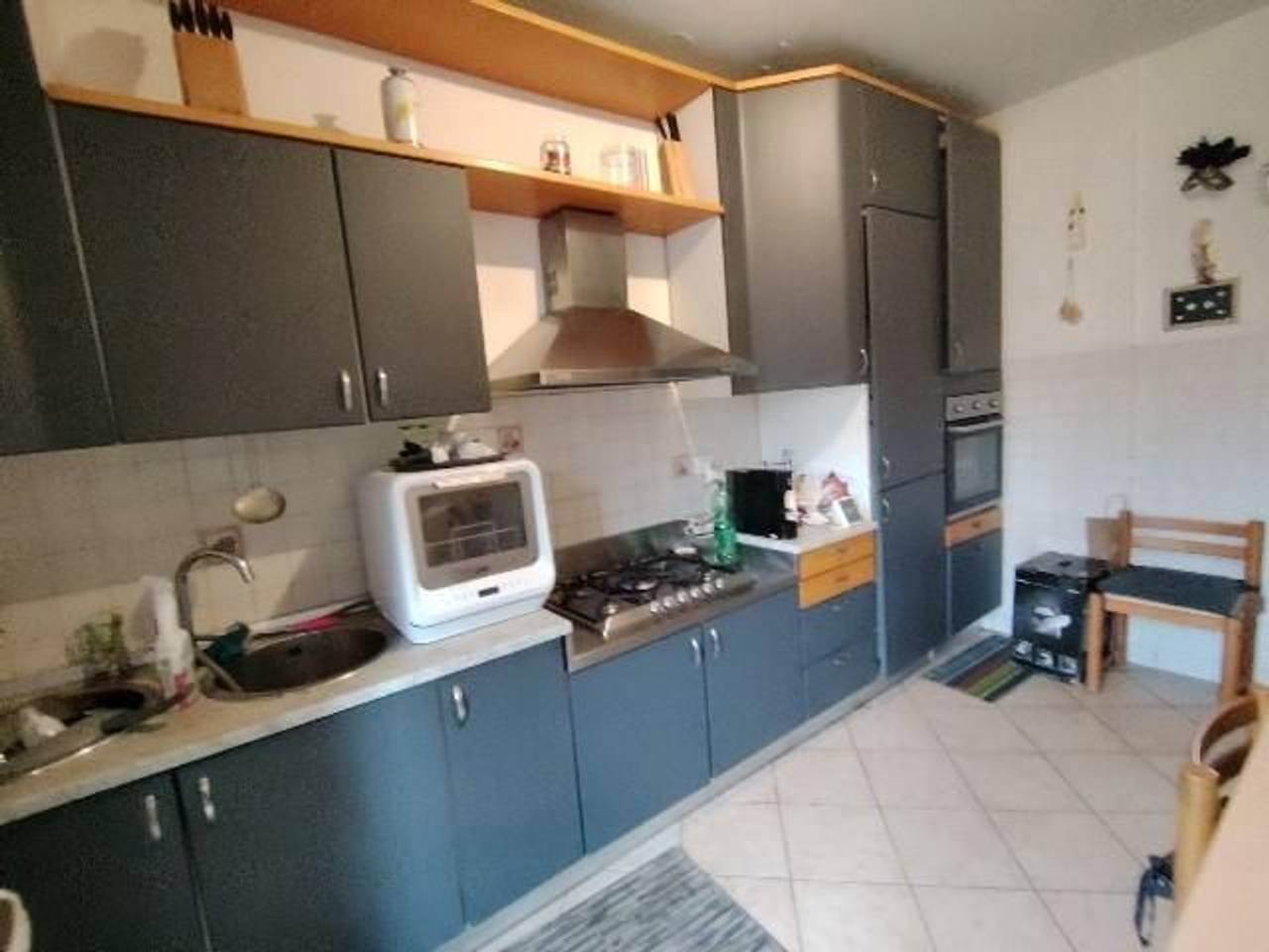 immagine annuncio 6 di 15