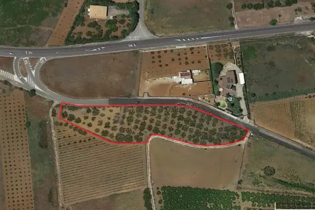 insertion image