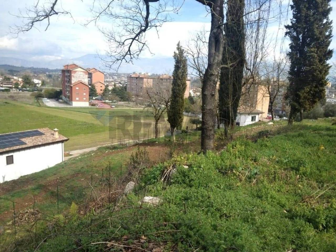 immagine annuncio 8 di 9