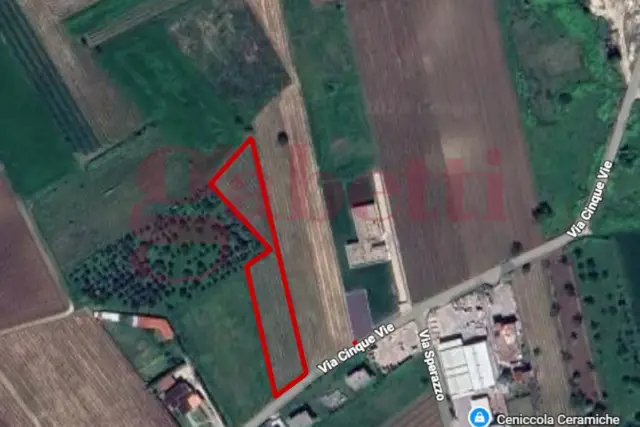 insertion image