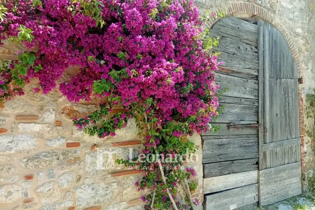 Einfamilienhaus in Via del Monte di Balbano, Massarosa - Foto 1