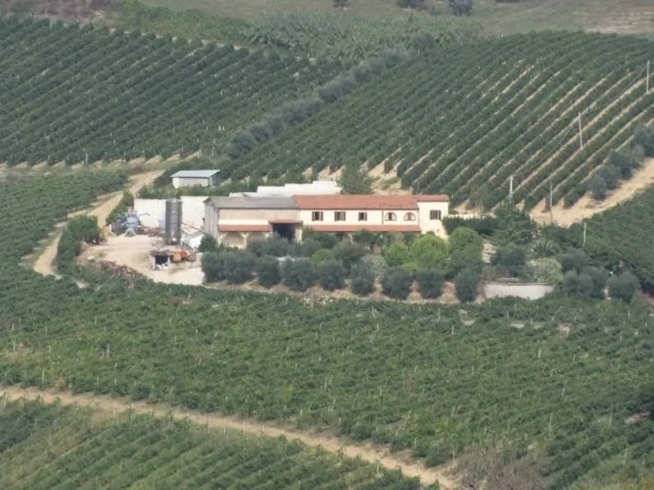 Azienda agricola in , Ripatransone, {3} - Foto 2
