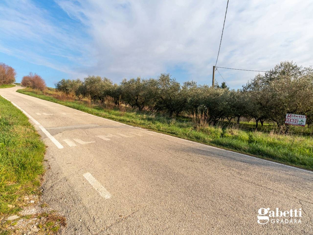 immagine annuncio 4 di 14