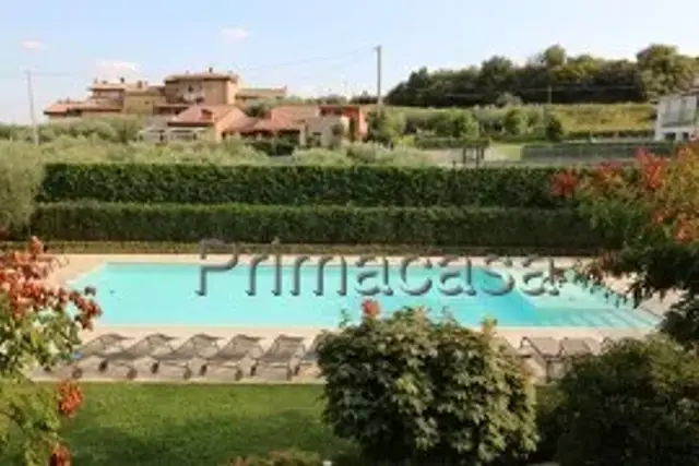 insertion image