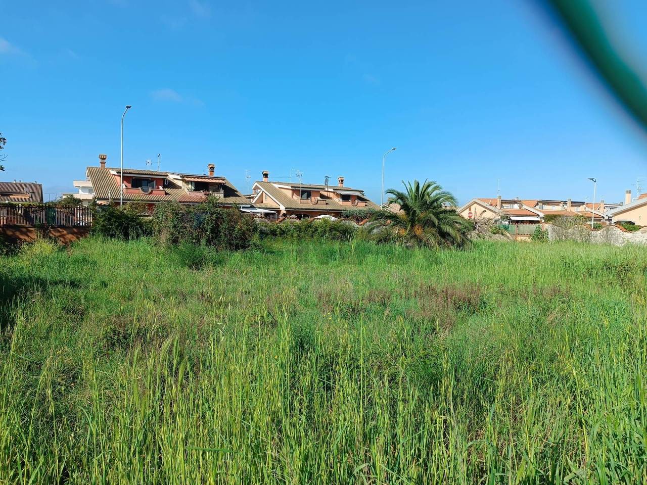 immagine annuncio 9 di 12