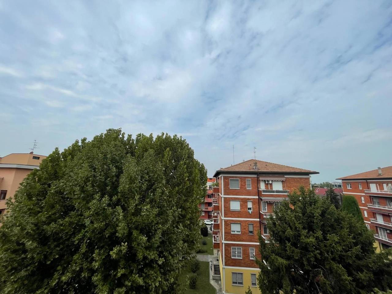 immagine annuncio 7 di 14