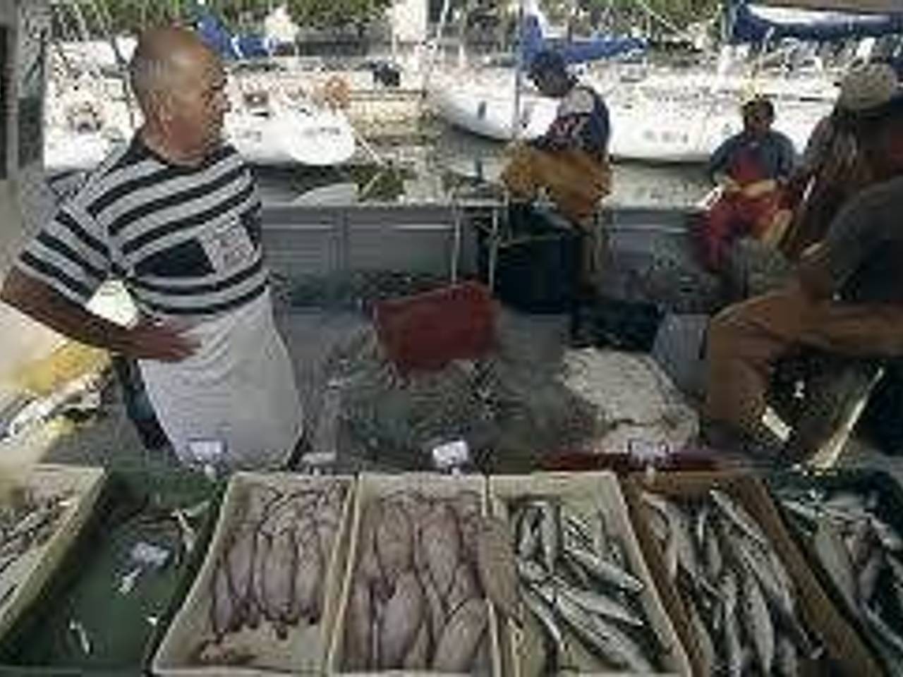 immagine annuncio 3 di 12